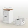 Cajonera Escritorio con 2 Cajones Soporte para Impresora con Riel Colgante para A4 y Carta 40x40x71 cm Blanco - Ogal.Es