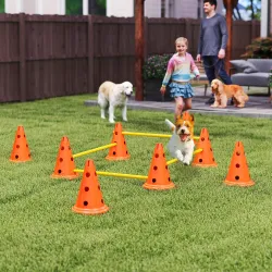 Juego de Agilidad para Perros Vallas de Obstáculos de Entrenamiento de Coordinación 8 Conos 8 Barras Bolsa - Ogal.Es