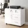 Mueble para Impresora con Ruedas Mesa para Impresora con Puerta y 3 Cajones Cerraduras Estante Ajustable Blanco - Ogal.Es