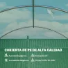 Invernadero de Túnel 6x3x2 m con Puerta con Bisagras 12 Ventanas de Malla y Estructura de Acero Galvanizado Verde - Ogal.Es