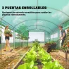 Invernadero de Túnel 6x3x2 m con 3 Puertas Enrollables 4 Ventanas de Malla y Estructura de Acero Galvanizado Verde - Ogal.Es