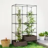 Jardinera con Enrejado Metálico para Plantas Trepadoras 2 Macetas de PP con Orificios de Drenaje 100x50x174 cm N... - Ogal.Es