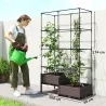 Jardinera con Enrejado Metálico para Plantas Trepadoras 2 Macetas de PP con Orificios de Drenaje 100x50x174 cm N... - Ogal.Es