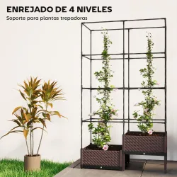Jardinera con Enrejado Metálico para Plantas Trepadoras 2 Macetas de PP con Orificios de Drenaje 100x50x174 cm N... - Ogal.Es