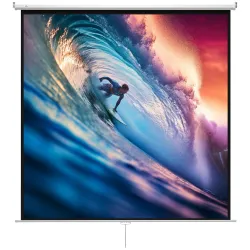 Pantalla de Proyector Manual 120 Pulgadas Pantalla de Proyección Portátil Formato 1:1 para Interior y Exterior C... - Ogal.Es