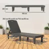 Conjunto de 2 Tumbonas Reclinables de Plástico PP con Bandeja Lateral Respaldo Ajustable 5 Niveles 192x57x28,5 c... - Ogal.Es
