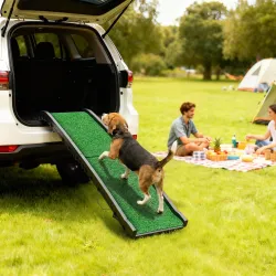 Rampa para Perros con Césped Artificial 155 cm Rampa para Perros para Coche Plegable con Asa Ángulo Ajustable Verde - Ogal.Es