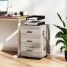 Cajonera de Escritorio con 3 Cajones Ruedas Cerradura 2 Llaves Archivador Móvil para Estudio Salón 40x40x61,5 cm... - Ogal.Es
