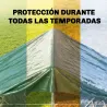 Lona Impermeable Exterior 6x8 m Toldo PE 90 g/m² Protección UV con Ojales Reforzados para Leña Muebles de Jardín... - Ogal.Es