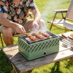 Barbacoa de Carbón 45,5x29x21 cm con Ventilador Integrado Temperatura Ajustable y Bandeja de Carbón Verde Claro - Ogal.Es