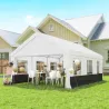 Carpa para Fiestas 4x6 m Carpa de Jardín con Paredes Extraíbles 2 Puertas y Ventanas UPF30+ para Boda Gris y Blanco - Ogal.Es