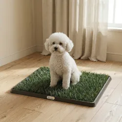 Inodoro para Perros con Césped Artificial 63x50,5 cm Bandeja Sanitaria para Perros para Entrenamiento con Drenaj... - Ogal.Es