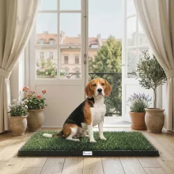 Inodoro para Perros con Césped Artificial 76x50,5 cm Bandeja Sanitaria para Perros para Entrenamiento con Drenaj... - Ogal.Es