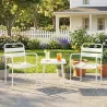 Conjunto de Jardín Exterior de 3 Piezas de Acero Galvanizado con 2 Sillas y Mesa de Vidrio Templado Blanco - Ogal.Es