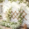 Enrejado de Jardín de Madera Extensible Soporte para Plantas Trepadoras Rosas y Parra 180x60 cm Marrón Claro - Ogal.Es