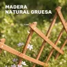 Enrejado de Jardín de Madera Extensible Soporte para Plantas Trepadoras Rosas y Parra 180x60 cm Marrón Claro - Ogal.Es