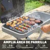 Barbacoa de Gas Plegable con Quemador 2,5 kW Tapa Termómetro Mesa Lateral y 2 Ruedas Parrilla Recogedor Grasa Negro - Ogal.Es