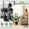 Planta Artificial de Camelia 65cm Árbol Artificial en Maceta con Flores de Seda Realistas 116 Hojas Efecto Musgo... - Ogal.Es