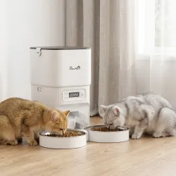 Comedero Gato Automático 4L Dispensador Comida para Gatos/Perros 1-6 Comidas al Día 2 Cuencos 2 Fuentes de Alime... - Ogal.Es