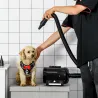Secador de Pelo para Perros 2800W Secador para Mascotas con Temperatura y Velocidad del Viento Ajustable 3 Boqui... - Ogal.Es