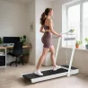 Cinta de Correr Plegable Inclinado Debajo del Escritorio con 2.5HP 0-12 KM/H Pantalla LED Control Remoto y Soporte - Ogal.Es