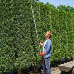 Tijeras de Podar de Jardín 180 cm con Mango de Aluminio Ligero y Resistente Cuchilla Metálica para Poda de Ramas... - Ogal.Es