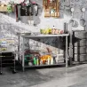 Mesa de Trabajo de Acero Inoxidable con 2 Estantes para Cocina Garaje Taller Carga 100 kg 120x60x86 cm Plata - Ogal.Es