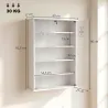 Botiquín de Pared de 5 Niveles con 2 Puertas de Cristal Estantes Ajustables Cerradura y 2 Llaves 60x17x82,5 cm B... - Ogal.Es
