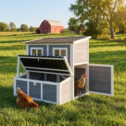 Gallinero para Exterior de Madera 100x86x100cm 2-4 Gallinas Nido Bandeja Extraíble Techo Impermeable Perchas Gri... - Ogal.Es