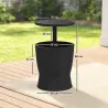 Mesa Nevera para Exterior 41 L 3 en 1 Cool Bar Mesa Auxiliar con Altura Ajustable Cubo de Hielo Tapa Elevable Negro - Ogal.Es