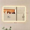 Espejo de Baño con Luz LED y Función de Memoria Antivaho 100x70 cm 3 Colores Regulables Ajuste de Brillo Plata - Ogal.Es